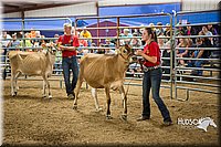 LCFAIR15-4774.jpg