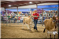 LCFAIR15-4776.jpg