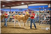 LCFAIR15-4777.jpg