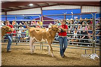 LCFAIR15-4778.jpg