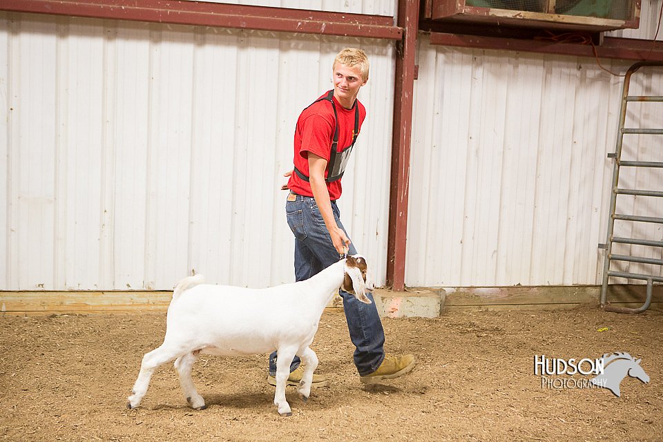 LCFAIR15-4937.jpg