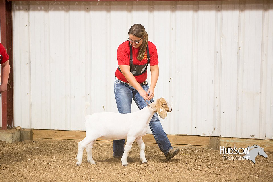 LCFAIR15-4944.jpg