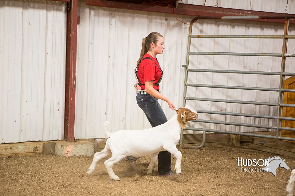 LCFAIR15-4947.jpg