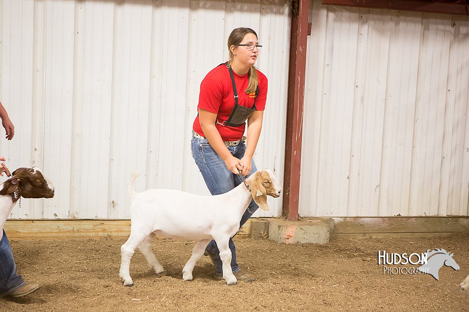 LCFAIR15-4948.jpg