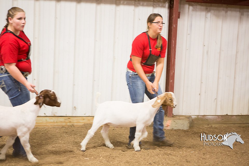 LCFAIR15-4949.jpg