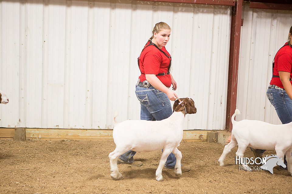 LCFAIR15-4951.jpg