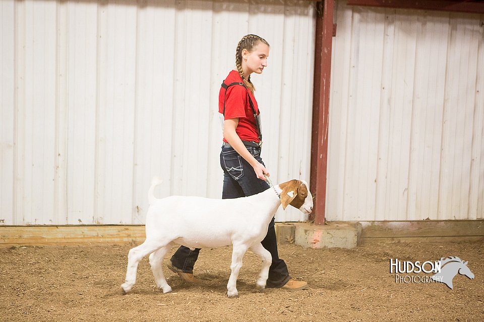 LCFAIR15-4955.jpg