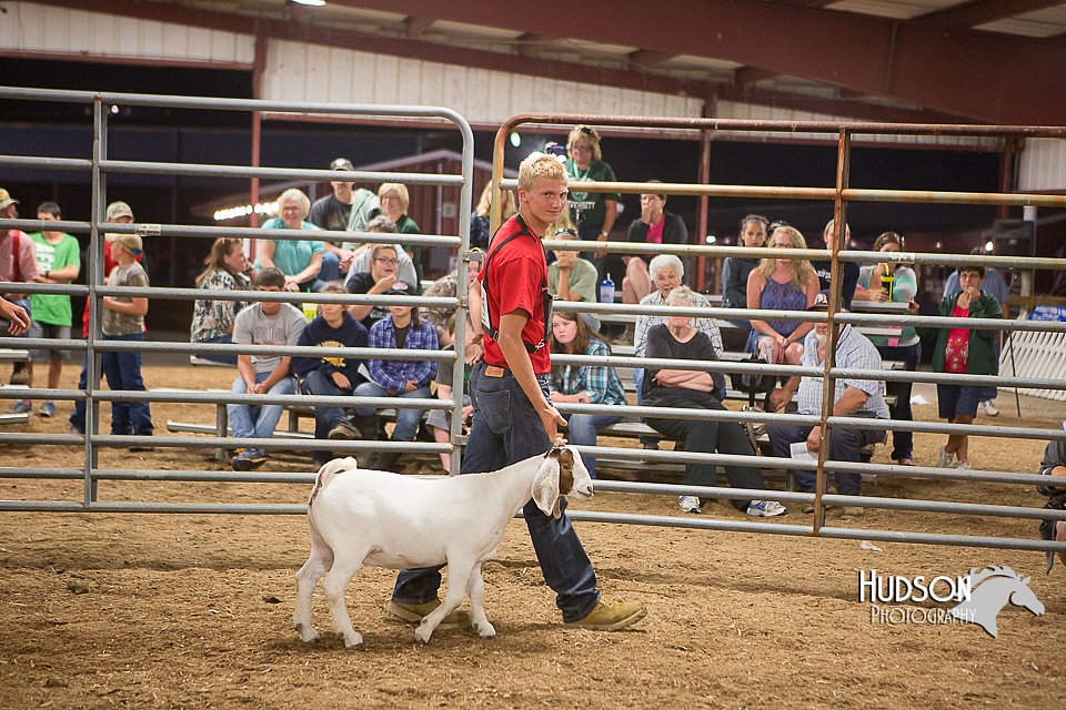 LCFAIR15-4956.jpg