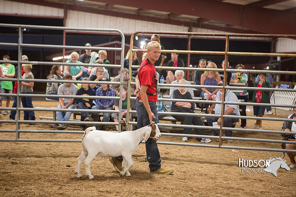 LCFAIR15-4957.jpg