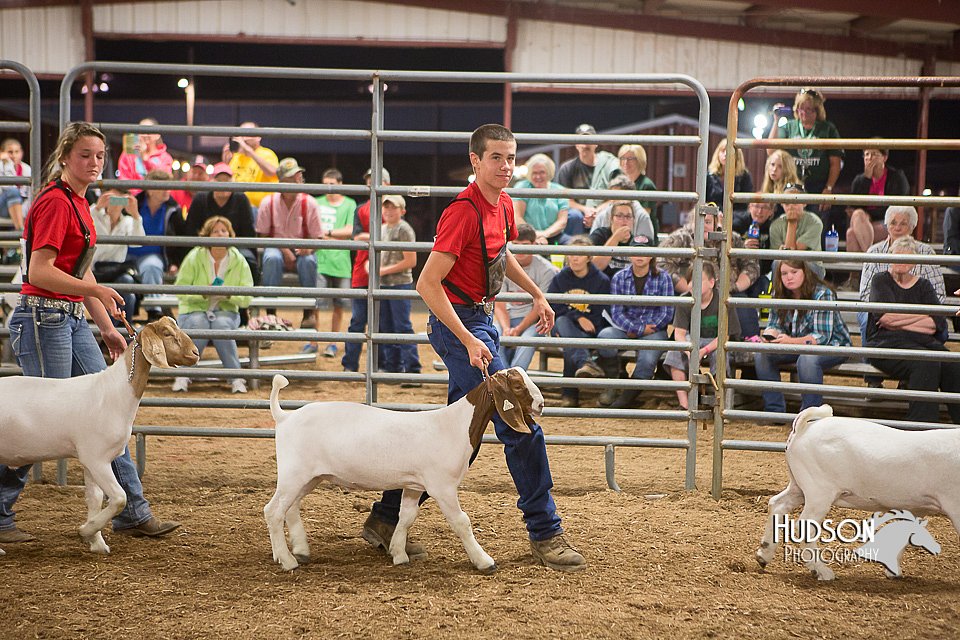 LCFAIR15-4958.jpg