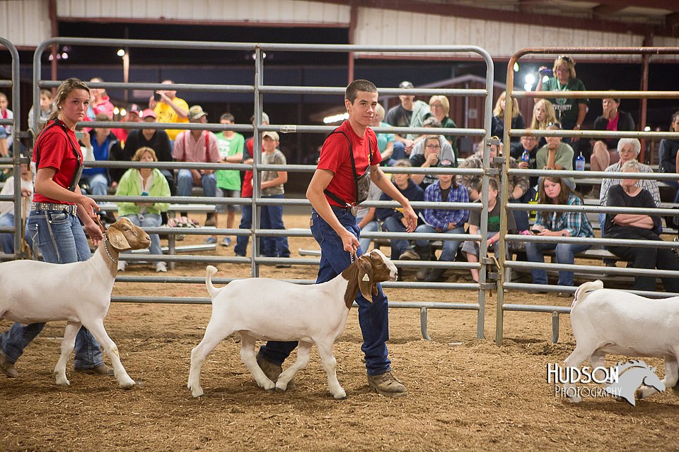 LCFAIR15-4959.jpg