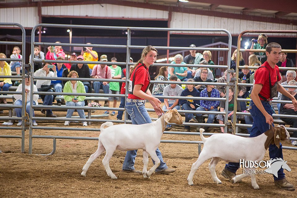 LCFAIR15-4960.jpg