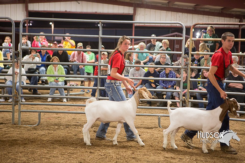 LCFAIR15-4961.jpg
