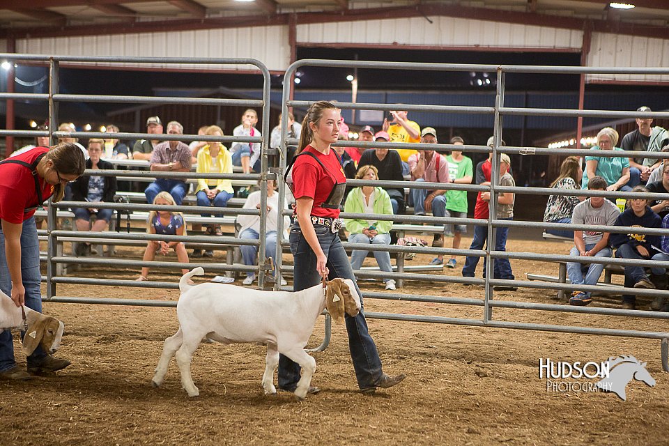 LCFAIR15-4962.jpg