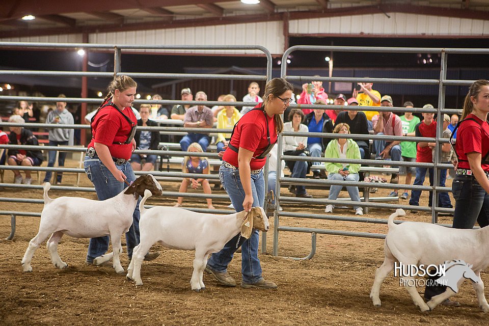 LCFAIR15-4965.jpg