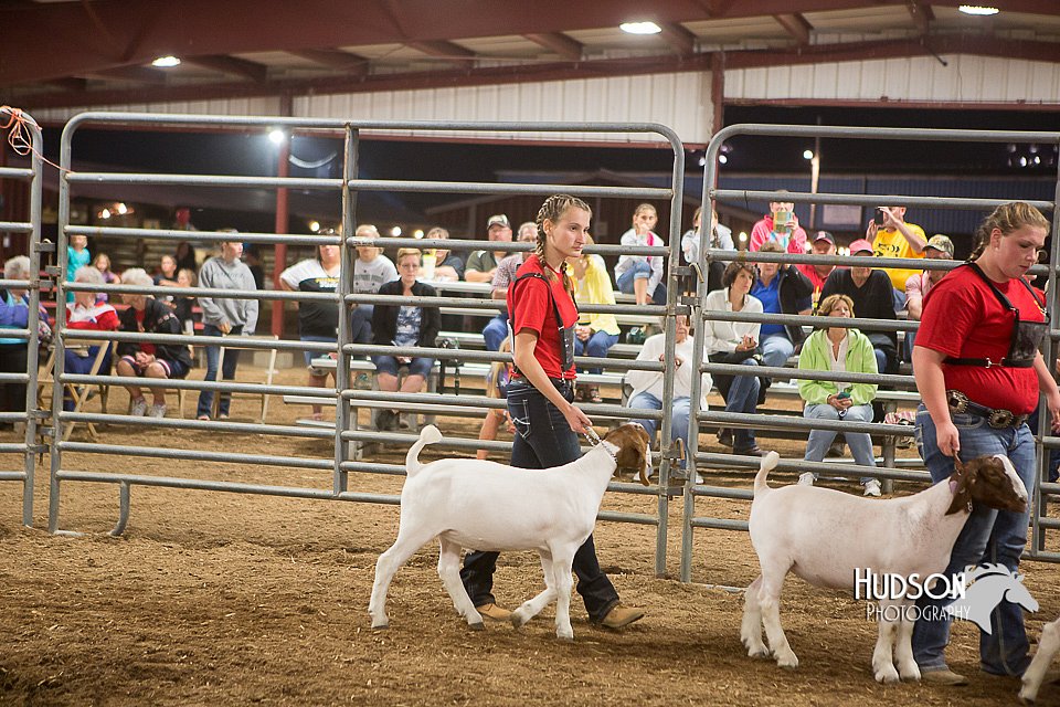 LCFAIR15-4970.jpg