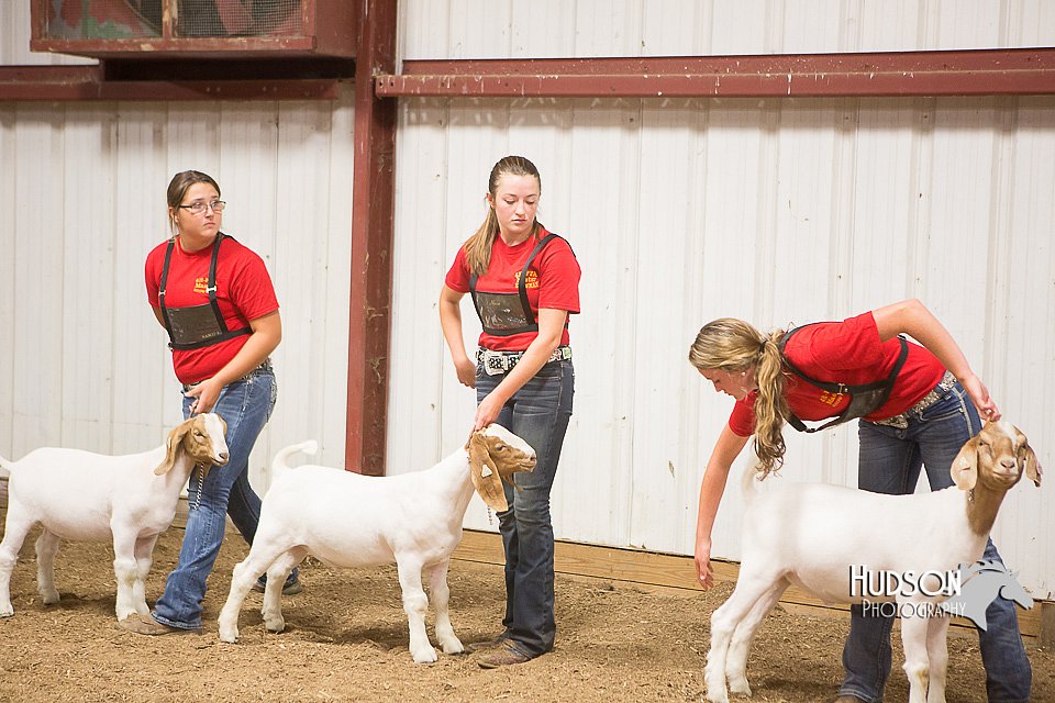 LCFAIR15-4976.jpg