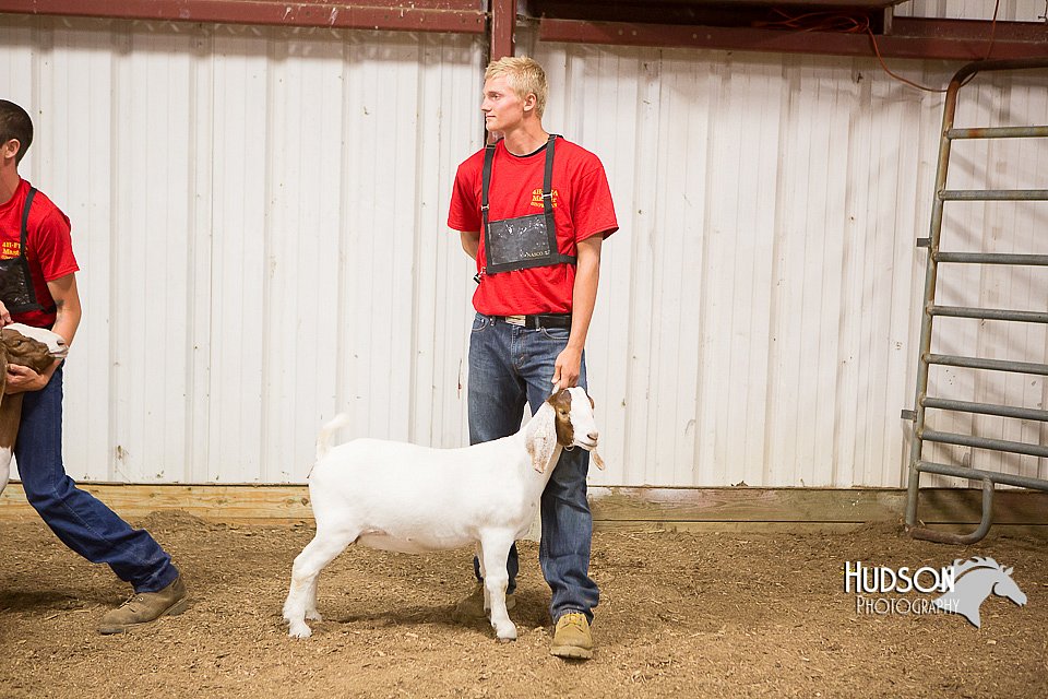 LCFAIR15-4986.jpg