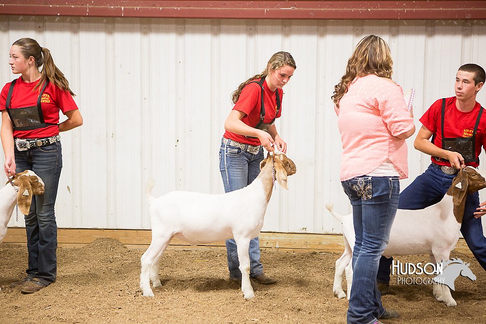 LCFAIR15-4989.jpg