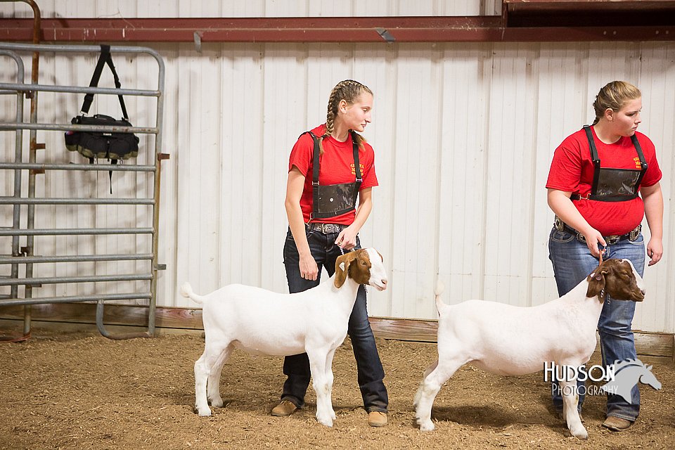 LCFAIR15-4994.jpg