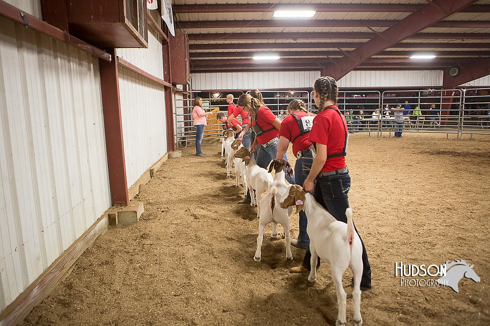 LCFAIR15-4997.jpg
