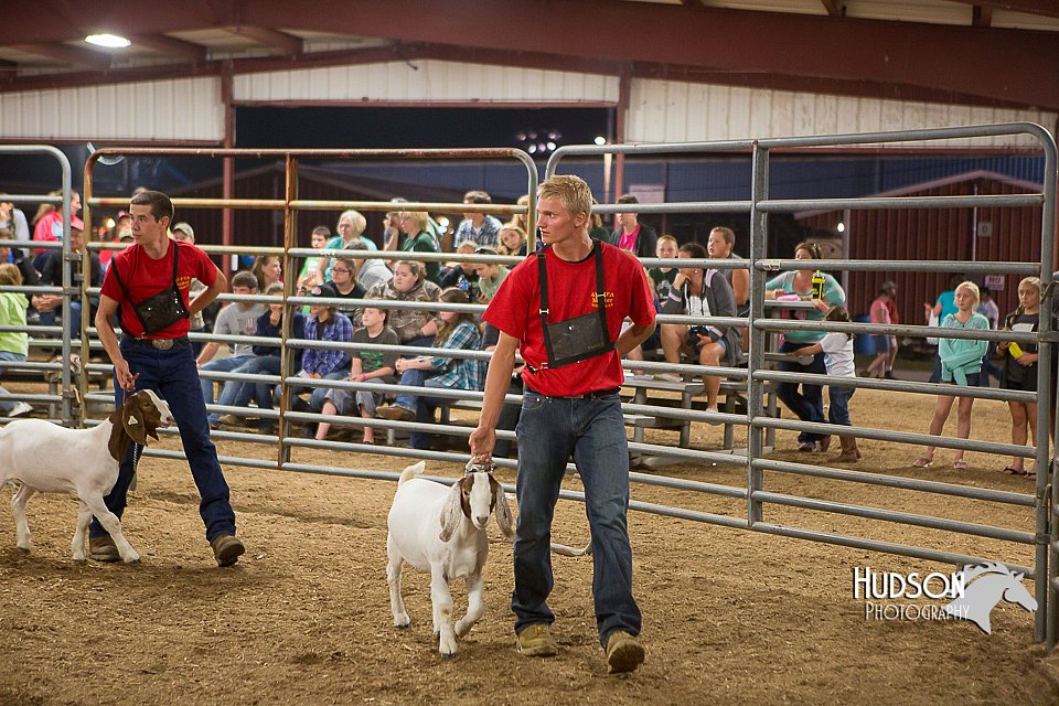 LCFAIR15-5001.jpg