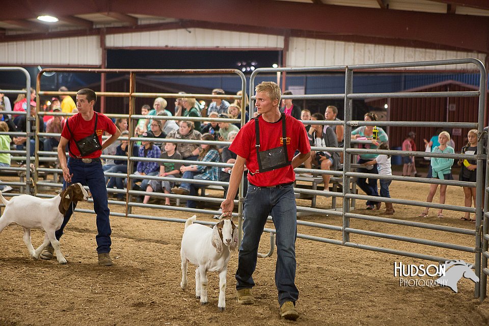 LCFAIR15-5002.jpg