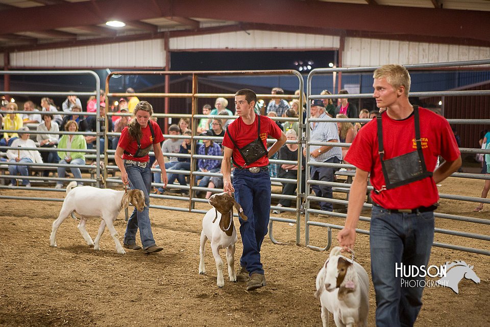LCFAIR15-5003.jpg