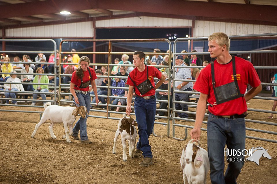 LCFAIR15-5004.jpg