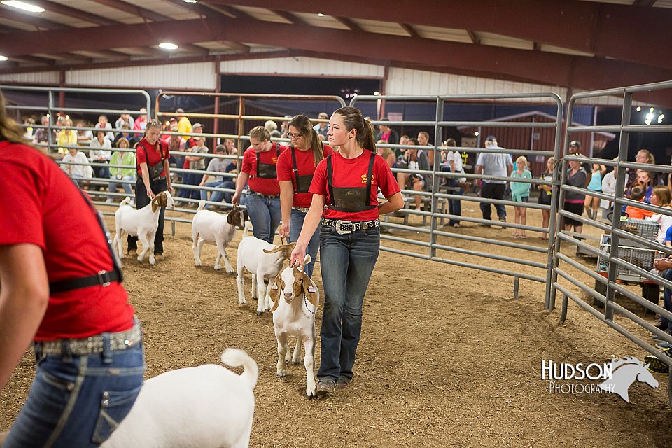 LCFAIR15-5006.jpg