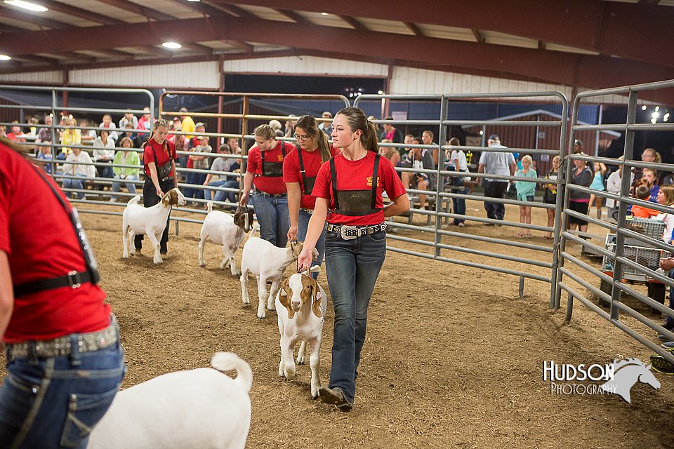 LCFAIR15-5007.jpg