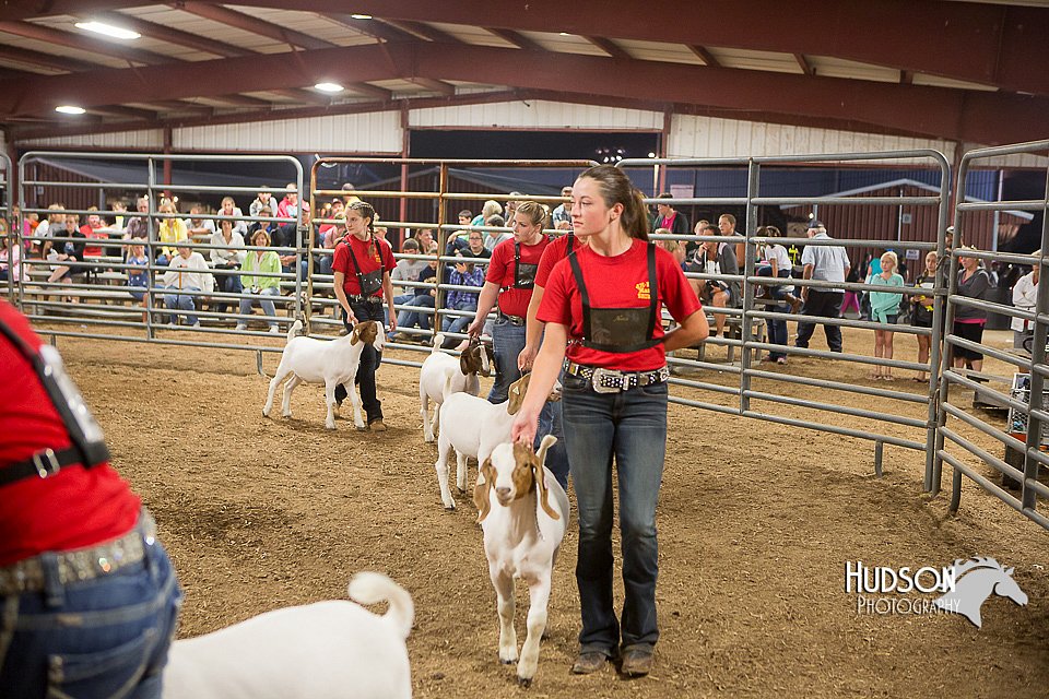 LCFAIR15-5008.jpg