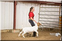 LCFAIR15-4947.jpg