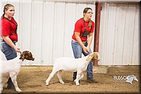 LCFAIR15-4949.jpg