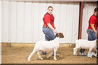 LCFAIR15-4950.jpg
