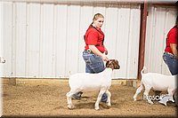 LCFAIR15-4951.jpg