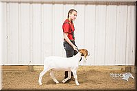 LCFAIR15-4952.jpg