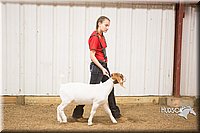 LCFAIR15-4954.jpg