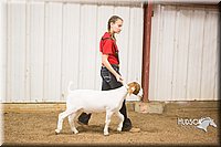 LCFAIR15-4955.jpg