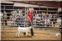LCFAIR15-4957.jpg