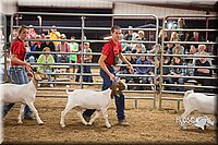 LCFAIR15-4959.jpg