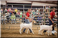 LCFAIR15-4961.jpg