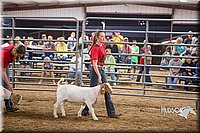 LCFAIR15-4963.jpg