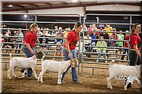 LCFAIR15-4964.jpg