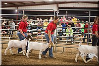LCFAIR15-4965.jpg