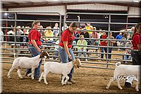 LCFAIR15-4966.jpg