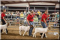 LCFAIR15-4967.jpg