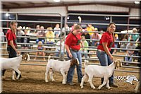 LCFAIR15-4968.jpg