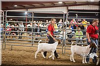 LCFAIR15-4970.jpg