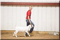 LCFAIR15-4971.jpg